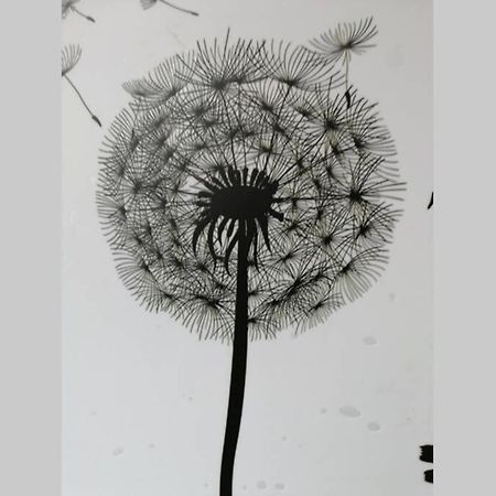 Ferienwohnung Pusteblume Mueddersheim Vettweiss エクステリア 写真