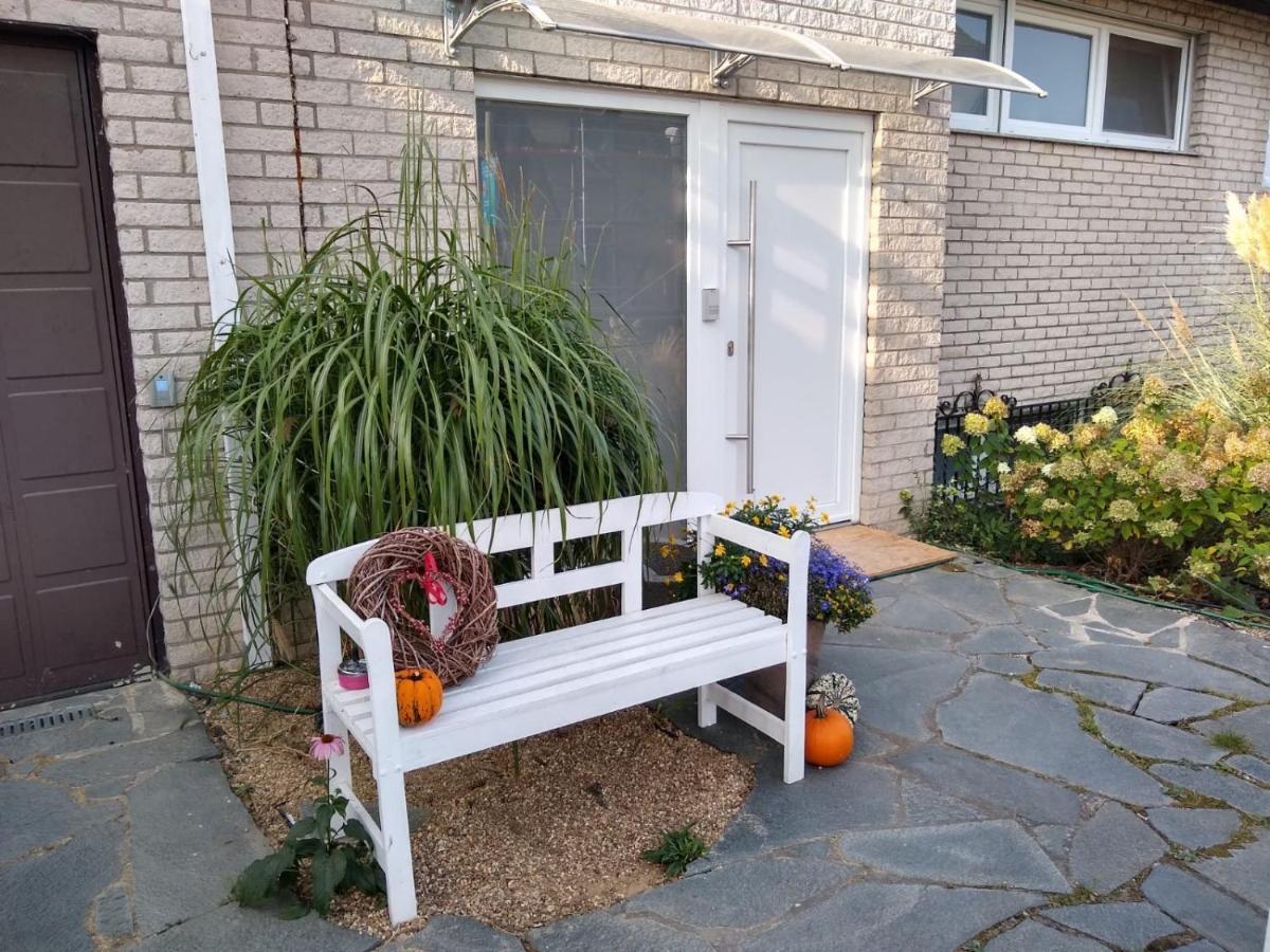 Ferienwohnung Pusteblume Mueddersheim Vettweiss エクステリア 写真